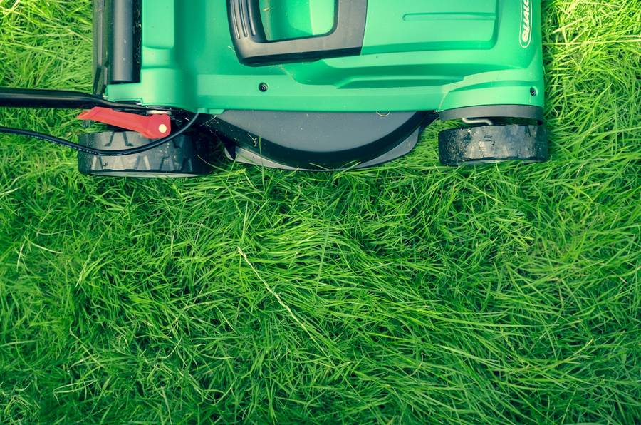 Landscaping & Lawn Care in Charlotte NC
